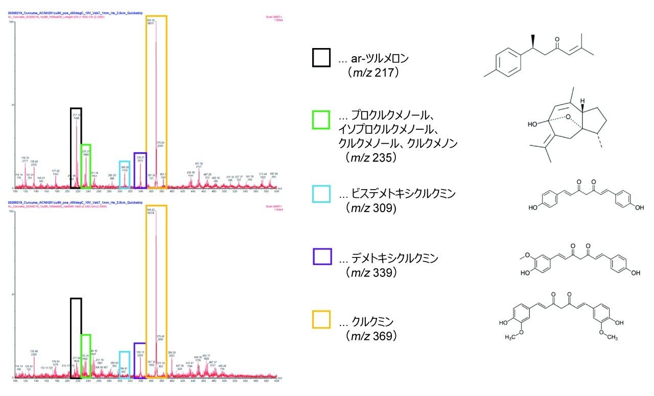 C. longa（上）と C. xanthorrhiza（下）のマススペクトル。さまざまな成分を異なる色で示しています。