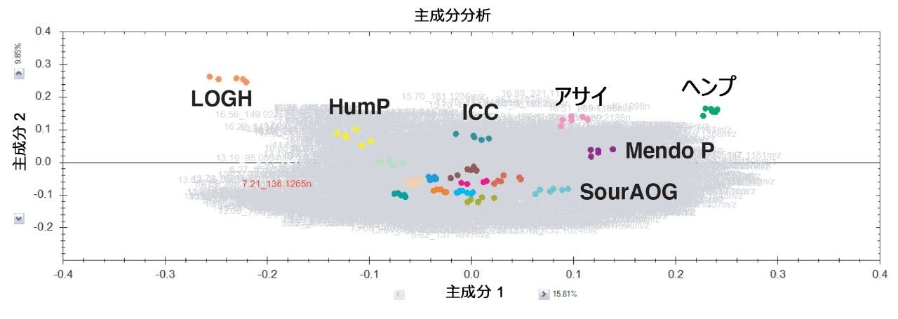 大麻栽培種の APGC-MS 分析の PCA プロット