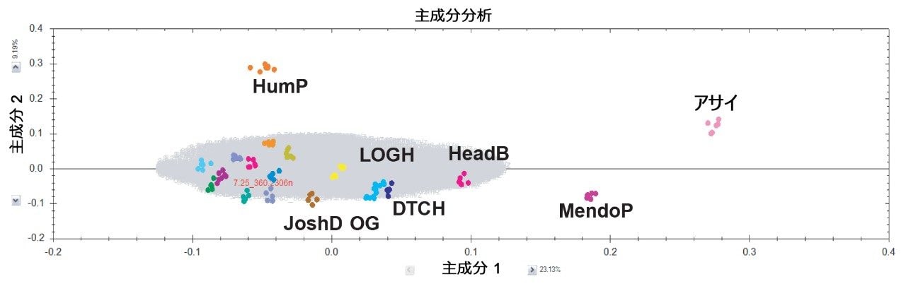 ヘンプを除く大麻栽培種の UPLC-MS 分析の PCA プロット