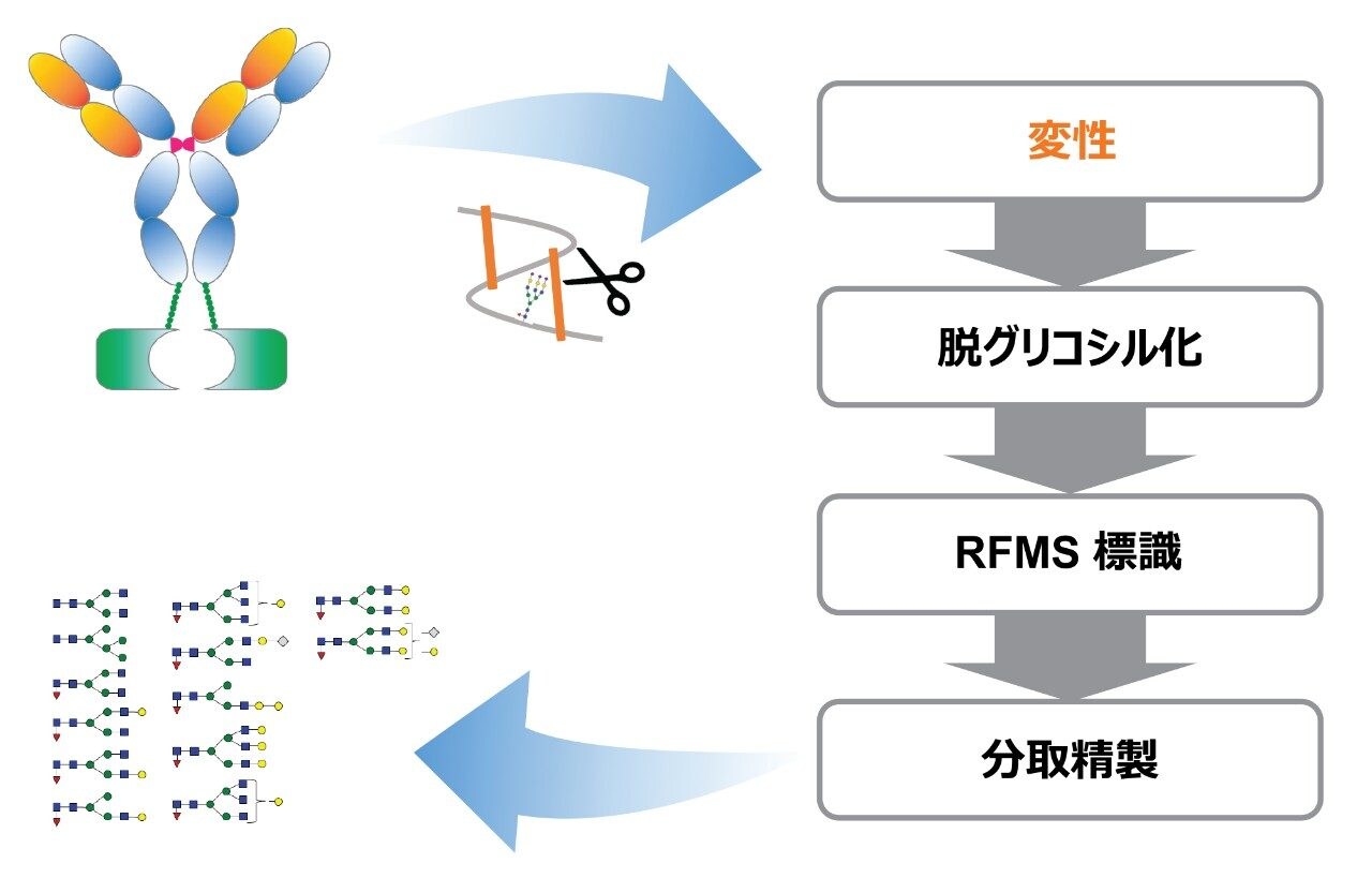 最適化したサンプル前処理ワークフロー