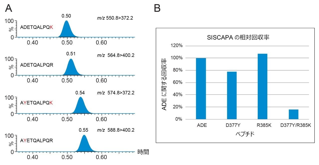 ADETQALPQR と変異型ペプチドのクロマトグラフィー分離、および SISCAPA での ADETQALPQR の相対回収率