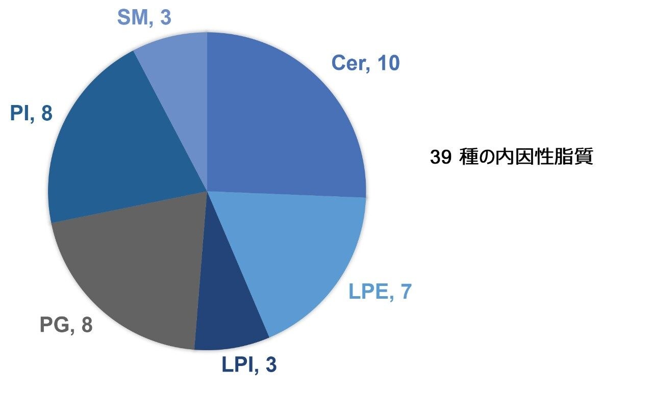 極性切り替えメソッドを用いて定量した 39 種の脂質。4 種類の LPE 分子種を、ポジティブ極性モードとネガティブ極性モードの両方で測定します