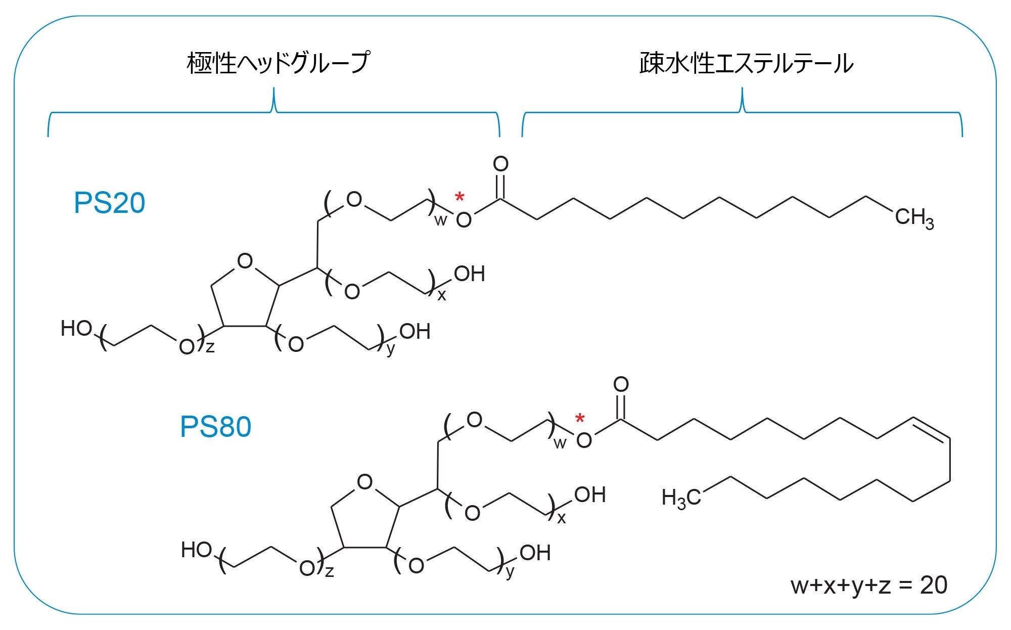 ポリソルベートの構造