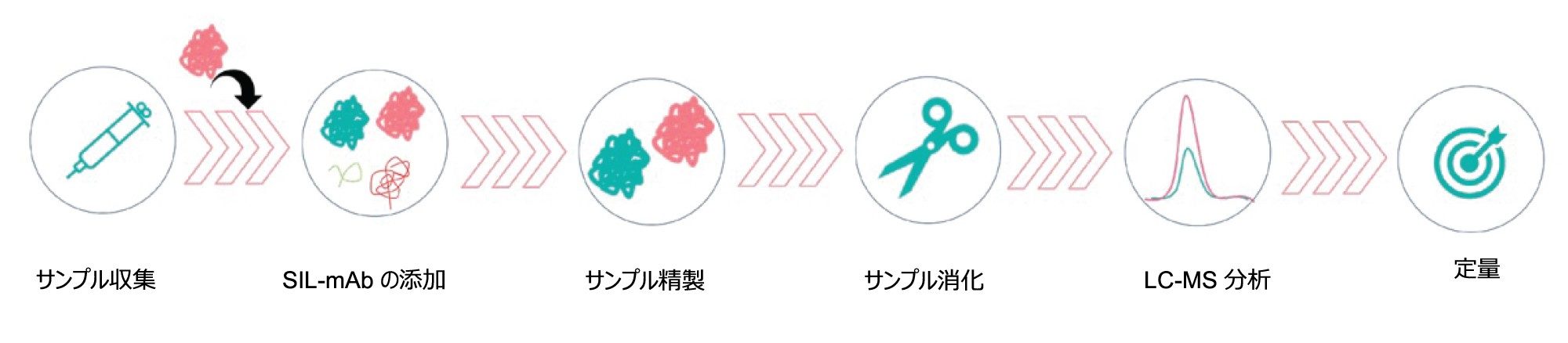 インフリキシマブ分析における LC-MS/MS ワークフロー