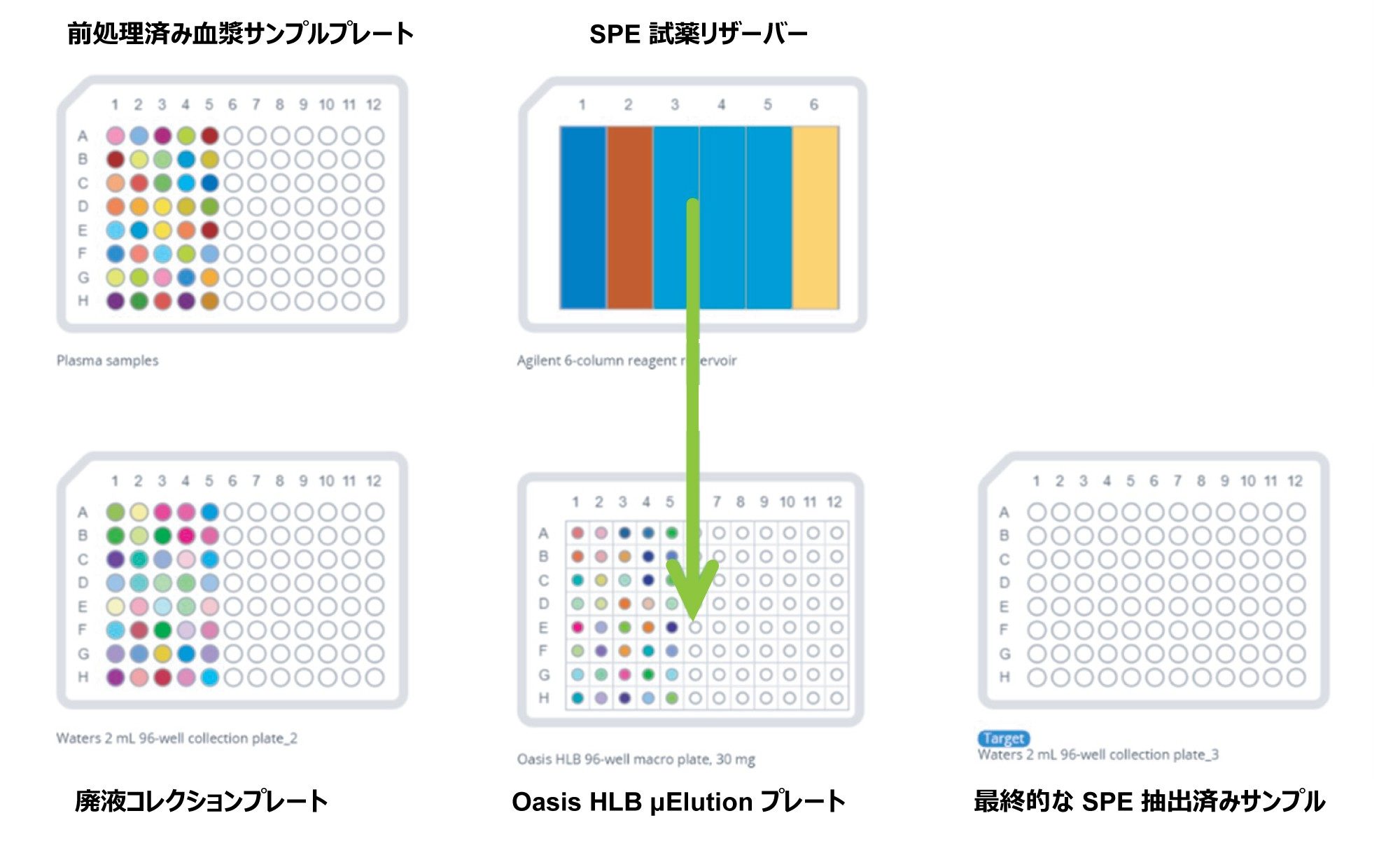 OneLab 自動バイオアナリシス SPE メソッドのグラフィック表示