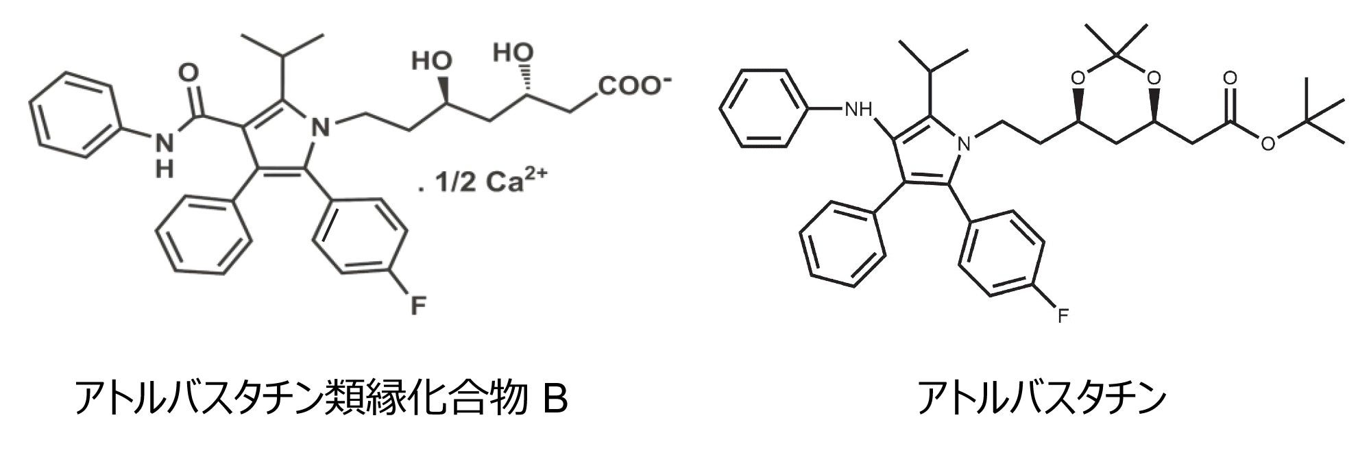 本試験で使用したアトルバスタチンおよびその類縁化合物の化学構造