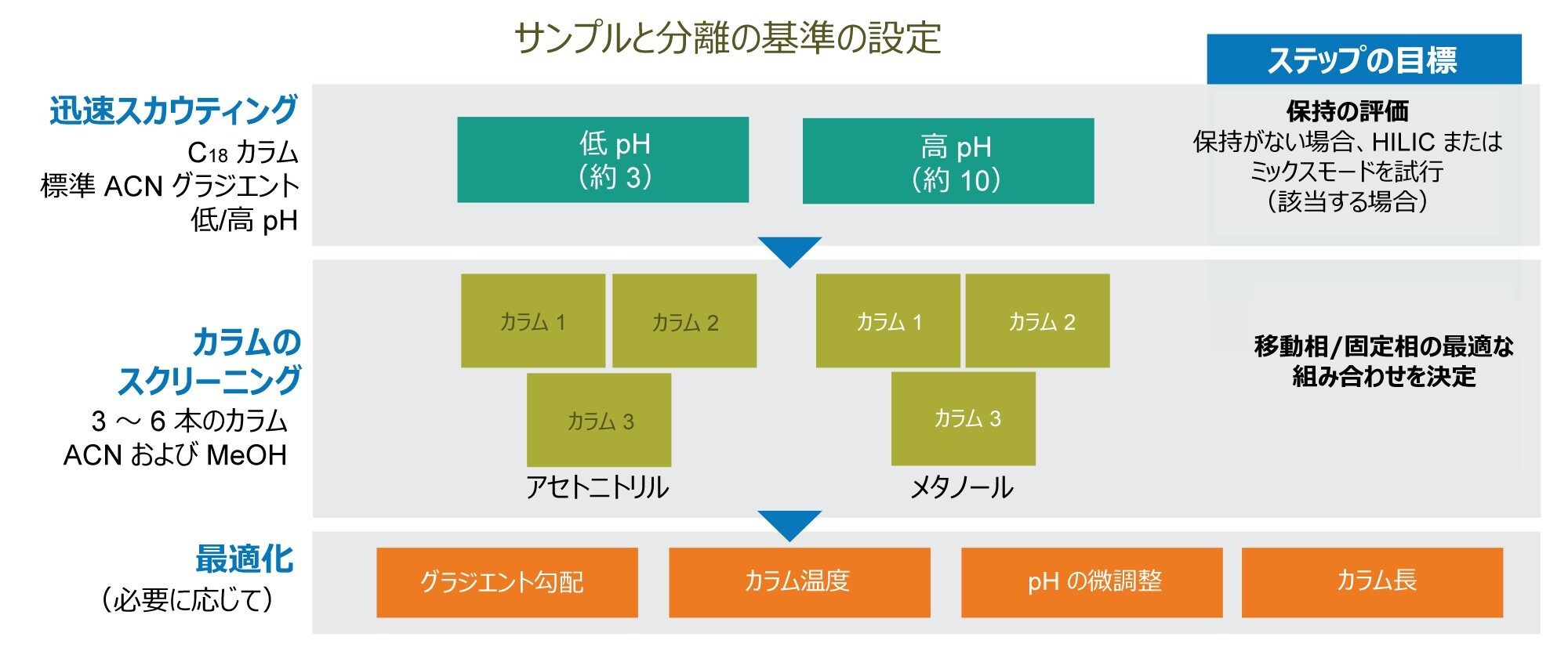 体系的スクリーニングプロトコルの概要
