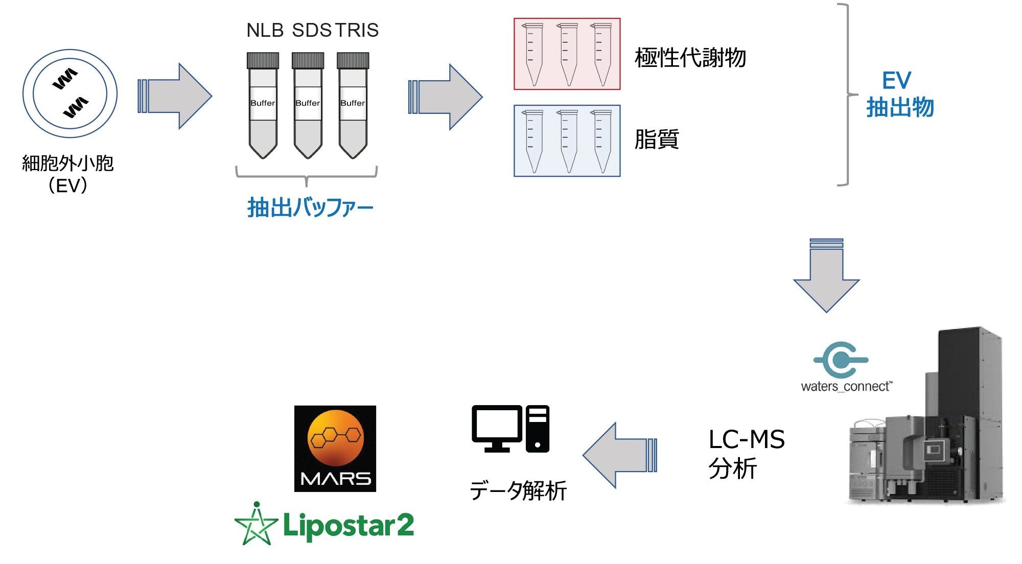 EV 抽出物の LC-MS 分析とその後のデータ解析の概要を示す実験ワークフロー