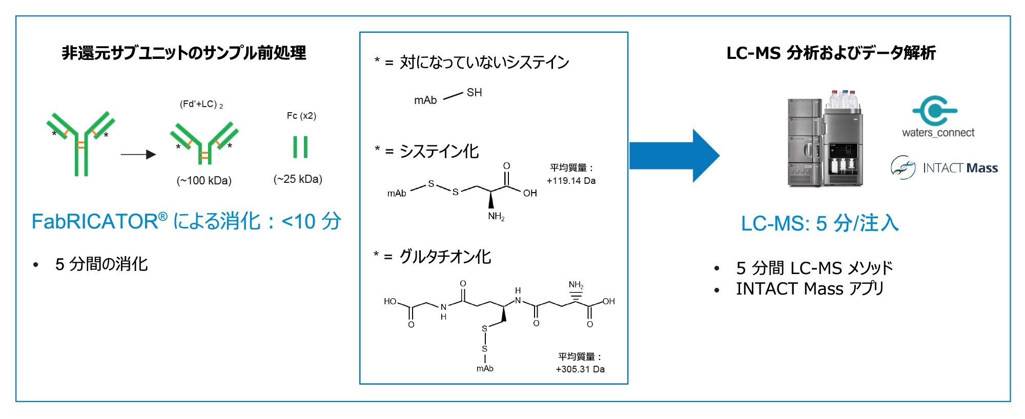 FabRICATOR を用いたサンプル前処理から、BioAccord および waters_connect INTACT Mass アプリを用いたデータ取り込みおよび分析までの、非還元サブユニット LC-MSワークフローの概要。