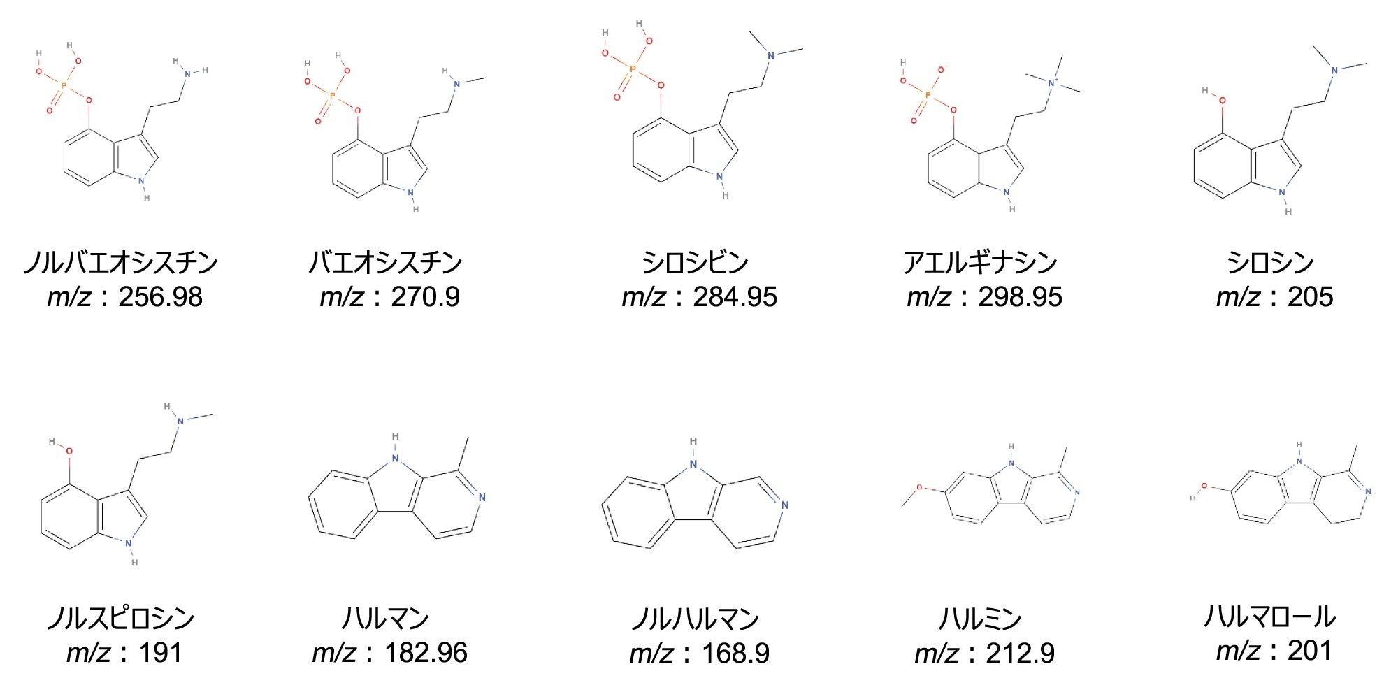 この試験で使用した 10 種の化合物すべての化学構造と対応する m/z。