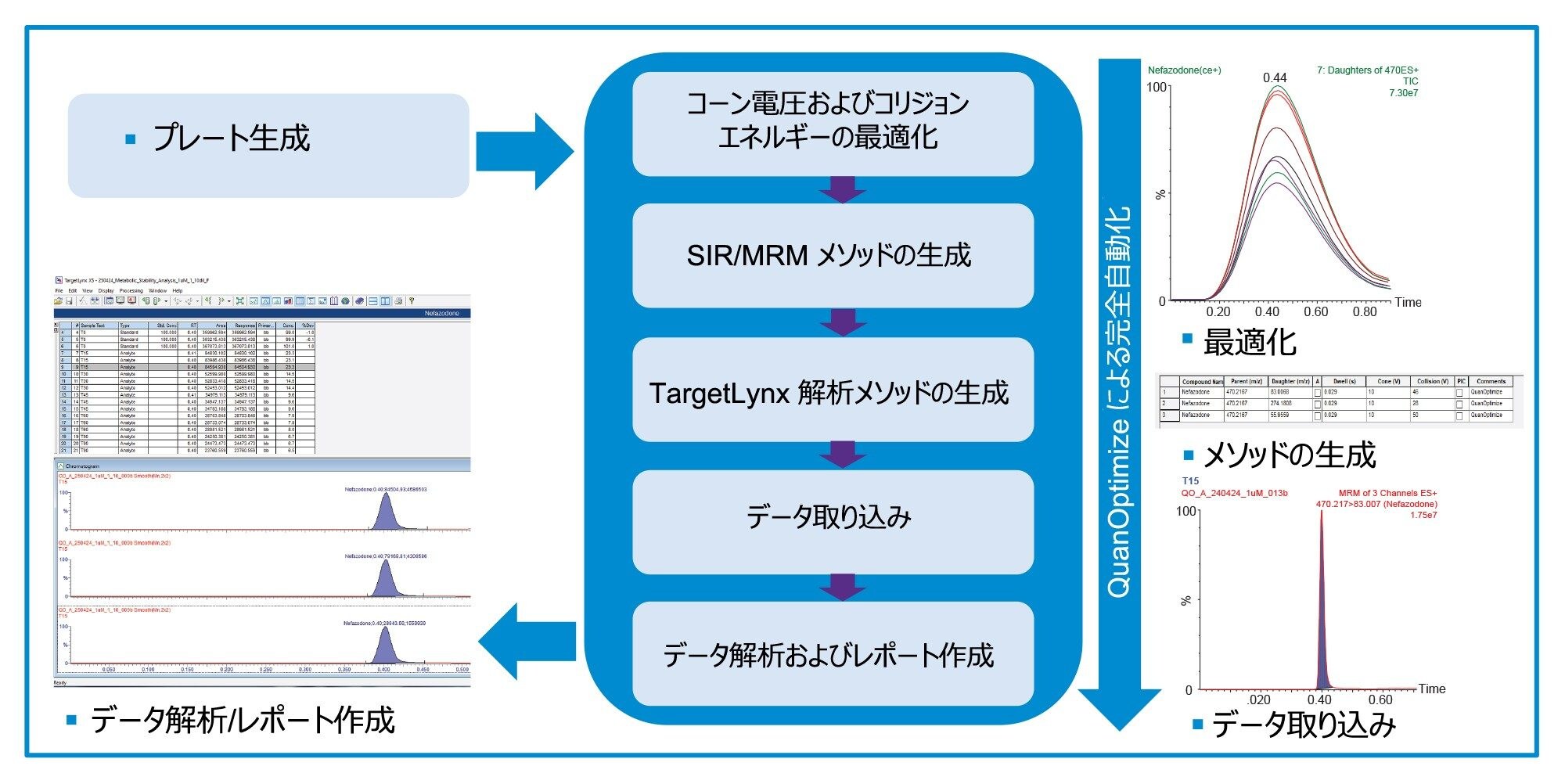完全に自動化された QuanOptimize ワークフロー