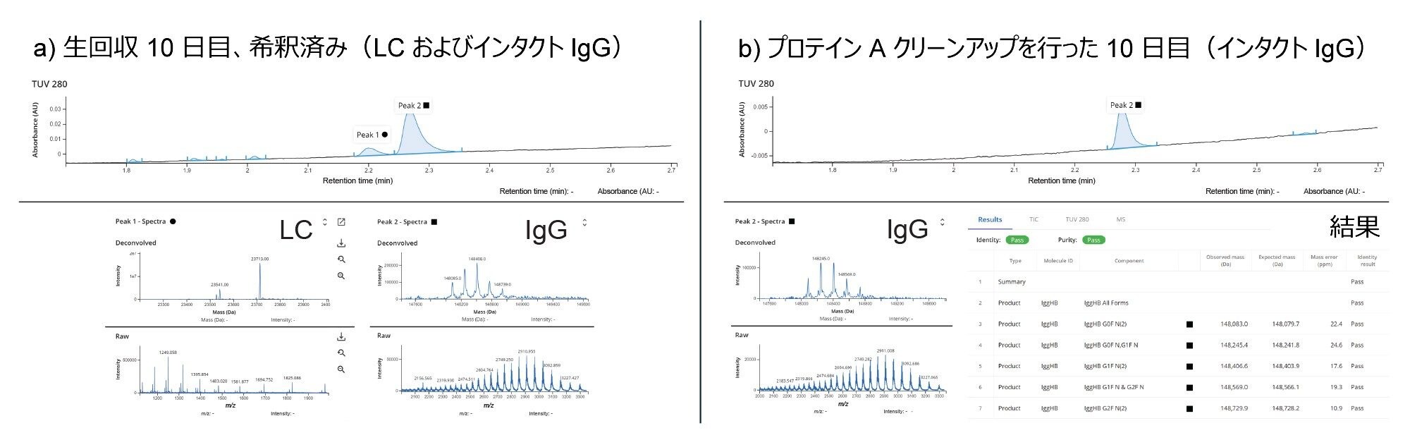 左パネル（a）：10 日目の回収サンプル、軽鎖およびメインの IgG ピークのスペクトルを含む UV クロマトグラム。右パネル（b）：10 日目のプロテイン A 精製サンプル（IgG が示される）。