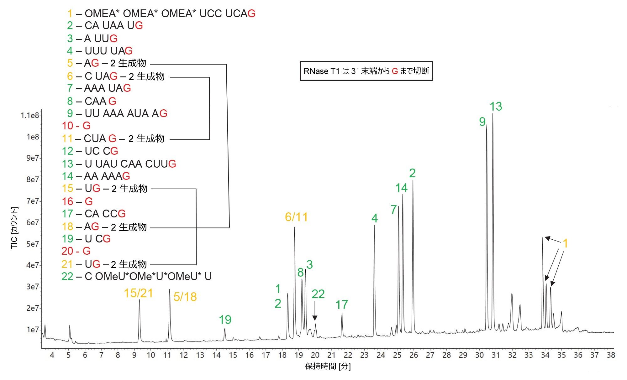 HPRT1 sgRNA の RNase T1 消化物の TIC クロマトグラム