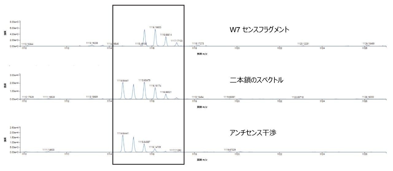 スペクトルの重なりを示す高エネルギー MSE フラグメンテーションスペクトル