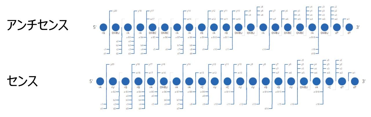 CONFIRM Sequence アプリを使用して、高コリジョンエネルギーを解析しました