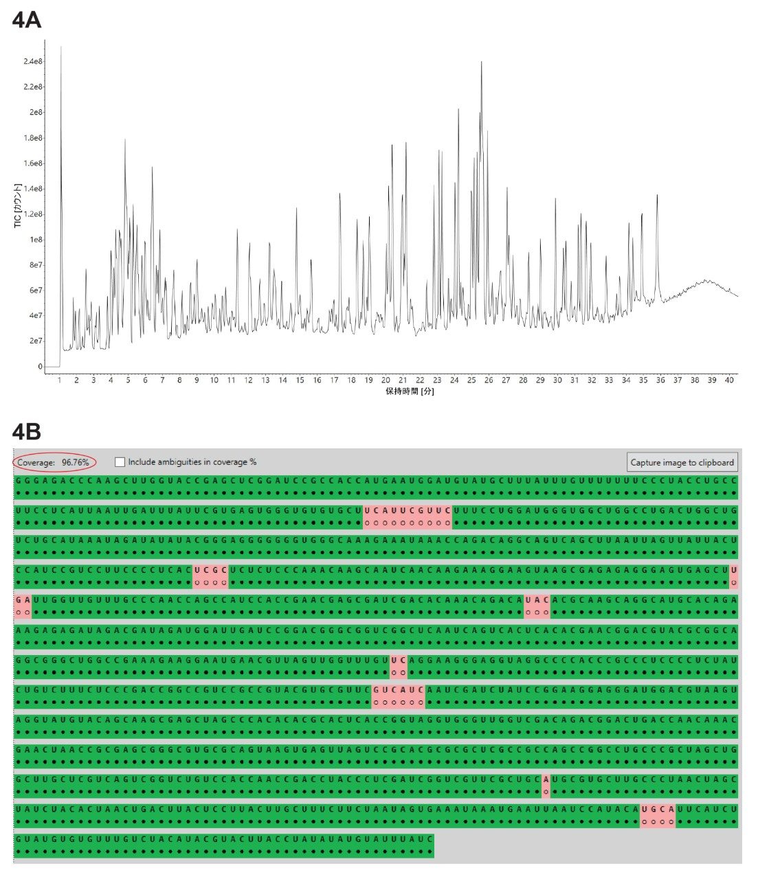 （A）RapiZyme MC1 で消化された GFP mRNA について記録された TIC クロマトグラム。（B）Coverage Viewer MicroApp の結果