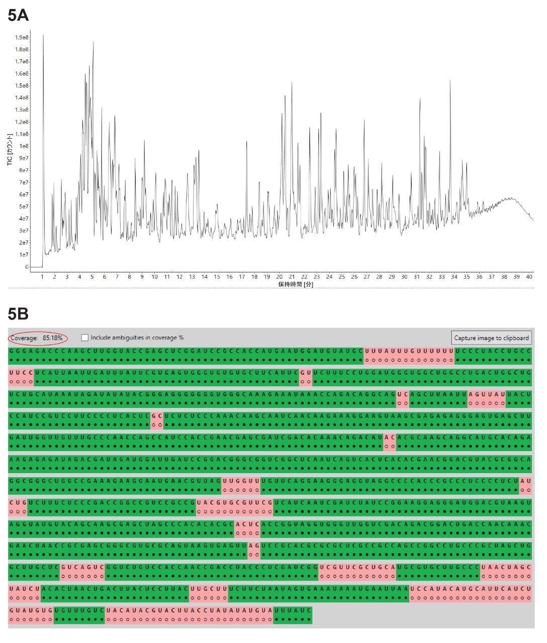 （A）RapiZyme クサチビンで消化された GFP mRNA について記録された TIC クロマトグラム。（B）Coverage Viewer MicroApp の結果