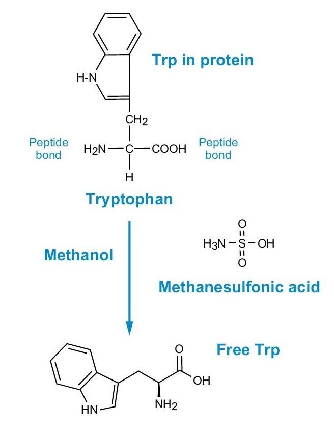 精製タンパク質およびペプチドの加水分解 Waters