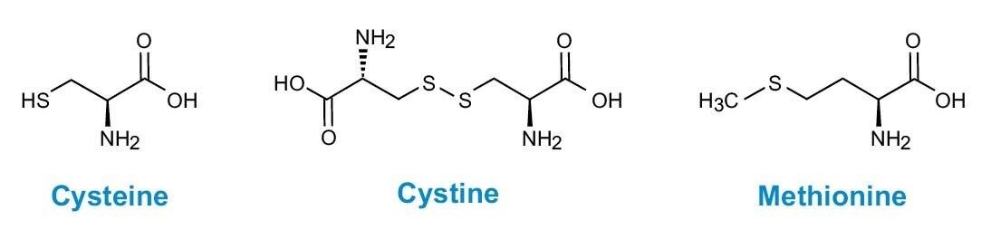精製タンパク質およびペプチドの加水分解 Waters