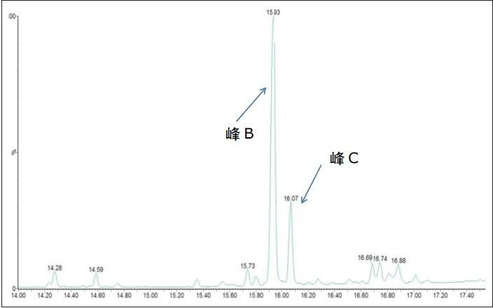 尼龙提取物TIC。