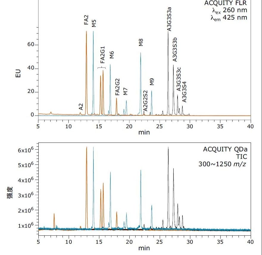 使用Rapid PNGase F从人源IgG（红色迹线）、核糖核酸酶B（黑色迹线）和牛胎球蛋白（蓝色迹线）中释放游离寡糖，然后使用RapiFluor-MS试剂进行标记。