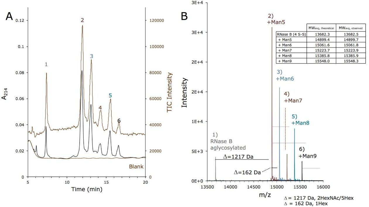 核糖核酸酶B的HILIC-MS结果。(A)使用聚焦梯度和BEH Amide, 300Å, 1.7 µm, 2.1 x 150 mm糖蛋白专用柱得到的核糖核酸酶B的UV（下图）和TIC（上图）色谱图。