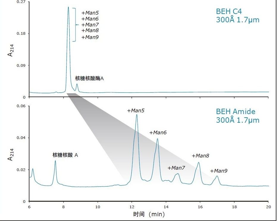 BEH C4, 300Å, 1.7 µm色谱柱的反相分离与BEH Amide, 300Å, 1.7 µm色谱柱的HILIC分离的正交性。