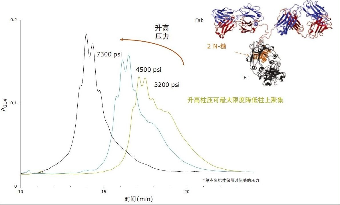 柱压对IgG的HILIC分离的影响。使用BEH Amide, 300Å, 1.7 µm, 2.1 x 150 mm糖蛋白分析专用柱，在有流速限制和没有流速限制的条件下分离曲妥珠单抗(1 µg)。[PDB:1IGT]