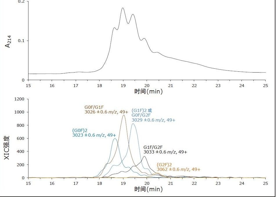 使用串联ACQUITY UPLC BEH Amide, 300Å, 1.7 µm, 2.1 x 150 mm糖蛋白分析专用柱分离完整曲妥珠单抗糖型。