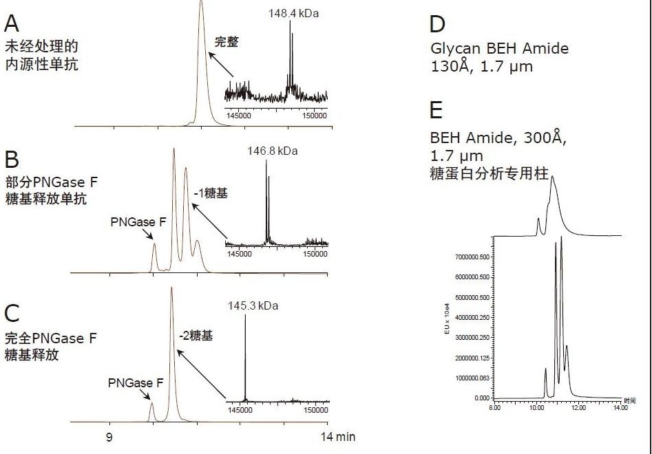 使用完整蛋白质HILIC-FLR-MS分析糖基占据和糖基释放。