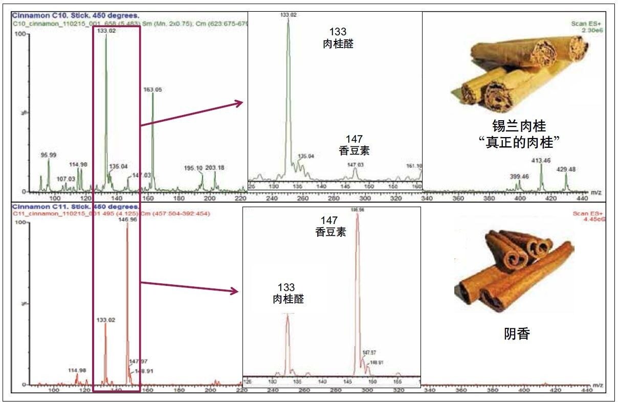 图2.完整肉桂棒的DART-MS分析结果。上图为锡兰肉桂的质谱图；下图为阴香的质谱图。
