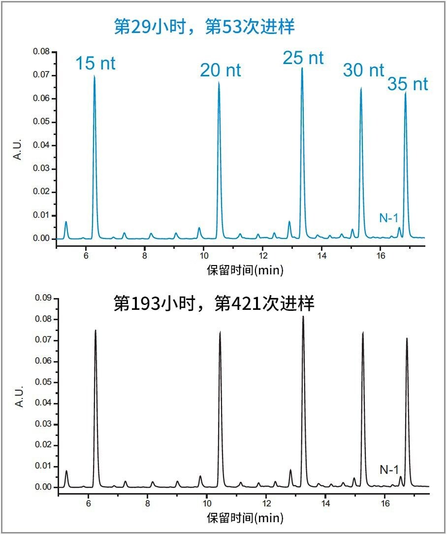 评估色谱柱在高pH下的使用寿命