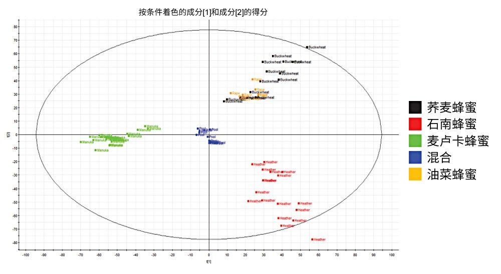 主成分分析(PCA)得分