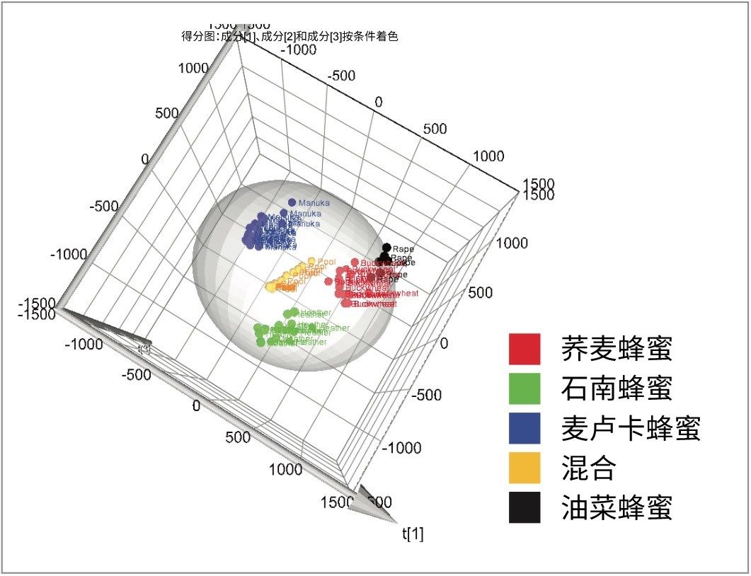 OPLS-DA得分