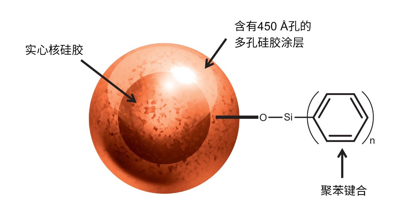 图1.BioResolve RP色谱柱(450 Å, 2.7 µm)的颗粒和键合相示意图