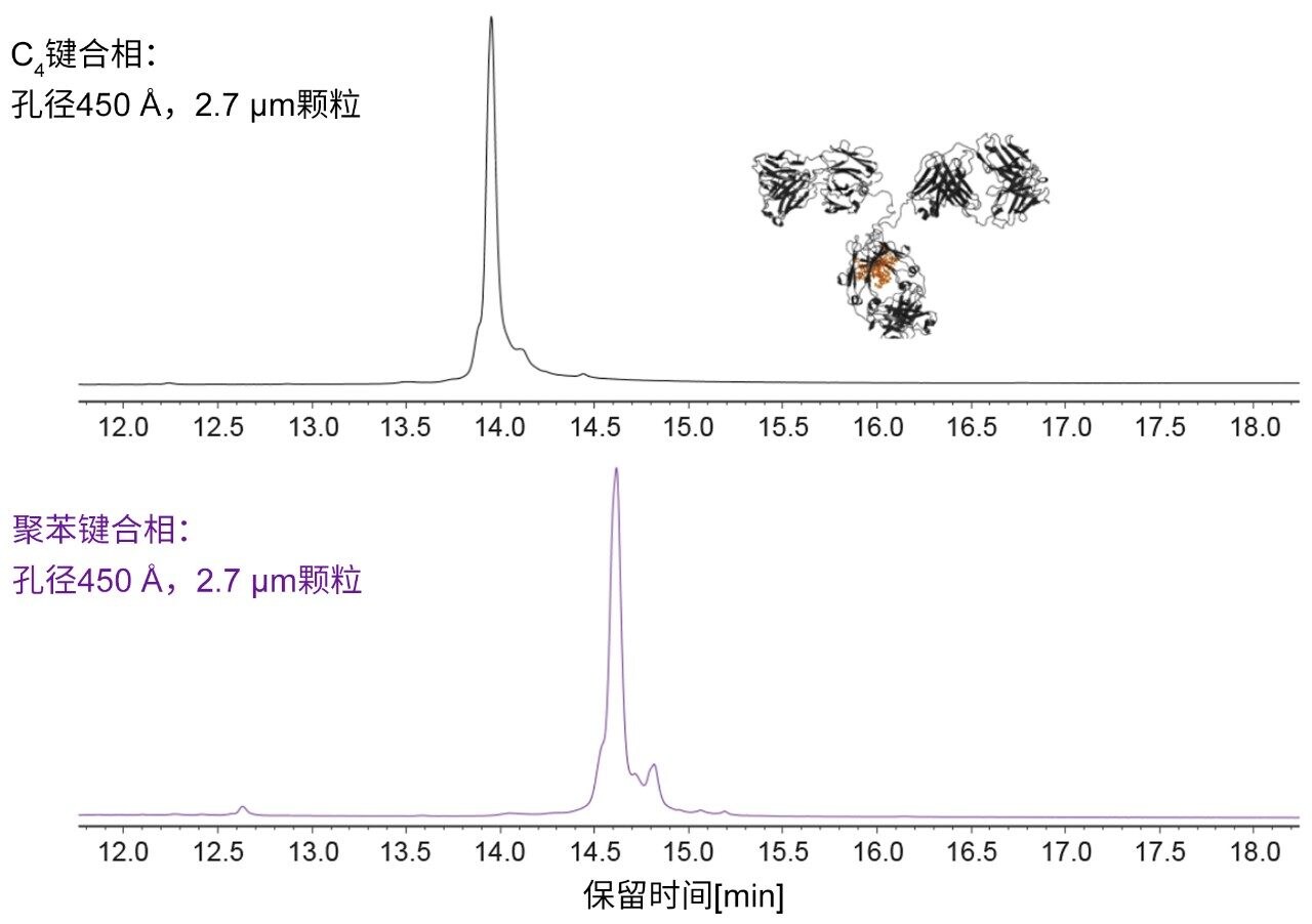 图4.由经过聚苯键合技术修饰的BioResolve RP颗粒组成的固定相与C4键合相之间的选择性差异。使用2.1 × 50 mm色谱柱、80 °C柱温、添加0.1% TFA改性剂的流动相、0.2 mL/min流速和聚苯键合相，可以检测到沃特世完整单克隆抗体质量数检查标准品中的几种变体。
