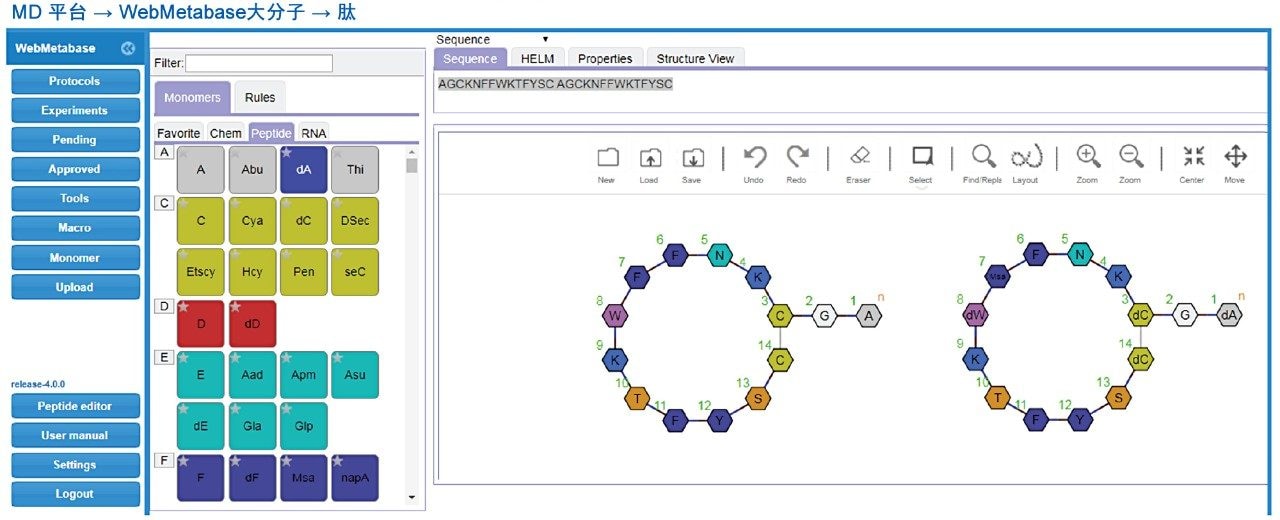  WebMetabase中的HELM editor