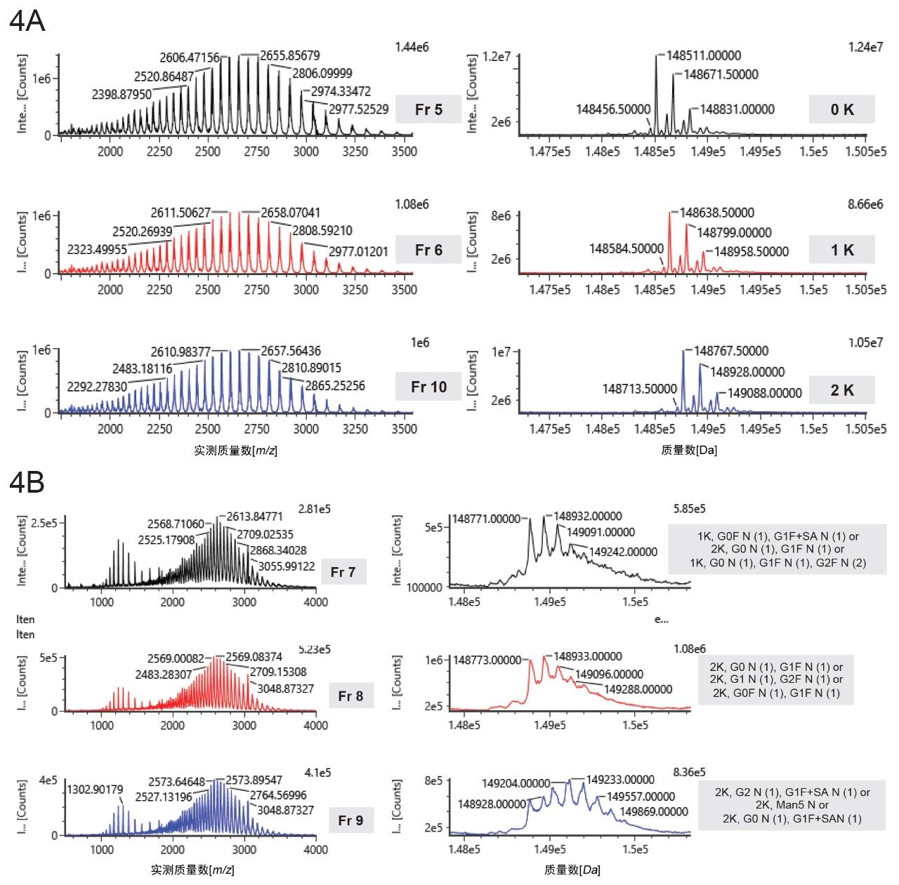 Peptide mapping analysis of trastuzumab fractions. (A) Trastuzumab fractions collected from a BioResolve SCX mAb, 4.6 × 100 mm Column. (B) Mirror image of peptide maps for Fractions 5 and 7. A peak at a retention time of 30.24 min increased significantly in Fraction 5, compared to that in Fraction 7 (indicated by the blue arrow). (C) Extracted ion chromatograms (XIC) for identified peptides. The peak at 30.26 min has been identified as deamidation of the peptide ASQDVNTAVAWYQQKPGK. The un-modified peak has a retention time of 29.63 min. (D) MS-MS fragment comparison of the deamidated and un-modified peptide ASQDVNTAVAWYQQKPGK. The fragments that do not contain asparagine have the same mass value, while the fragments that do contain asparagine differ in 1 Da in mass