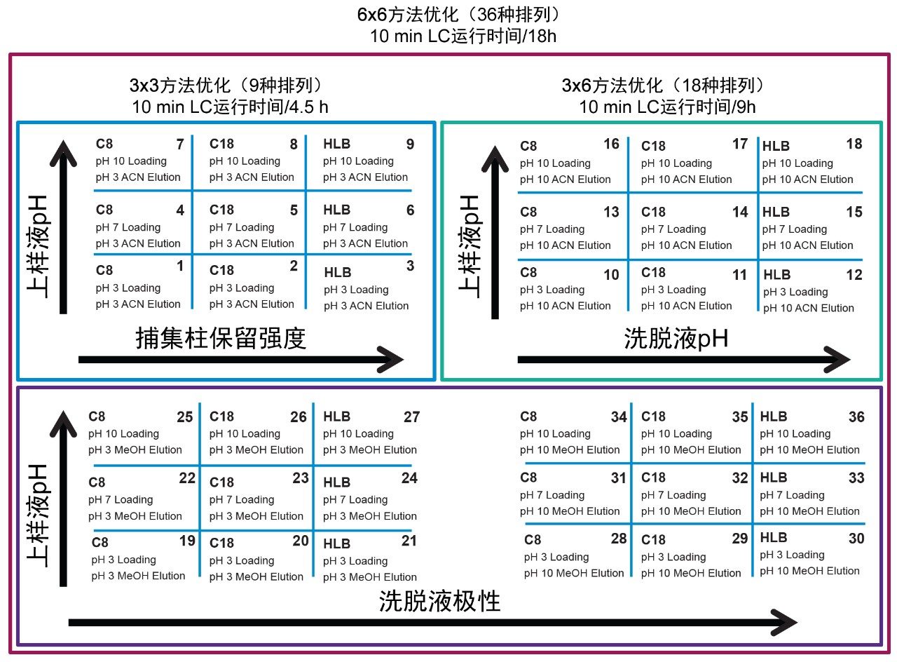 6 × 6 方法优化网格