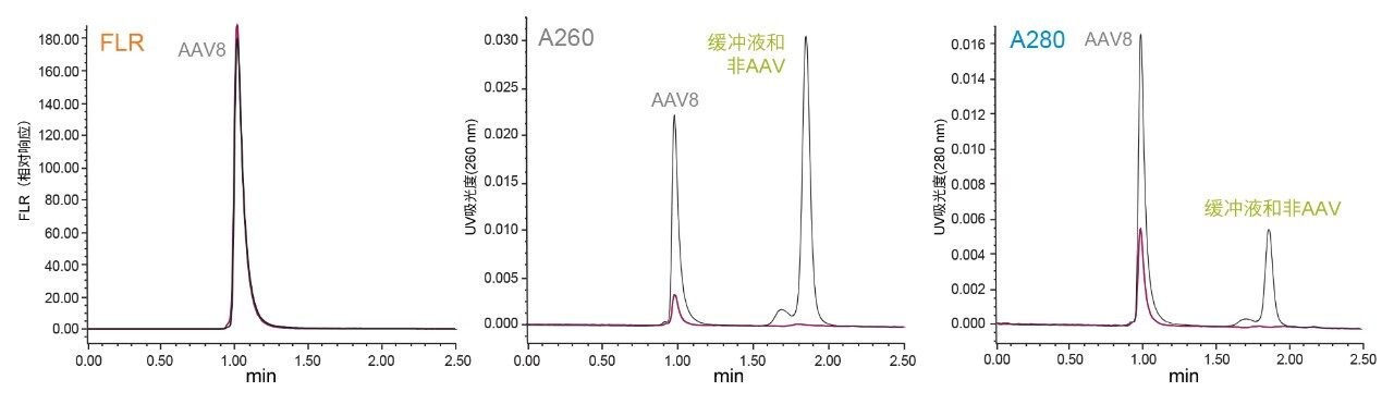 SEC荧光和UV吸光度响应比较