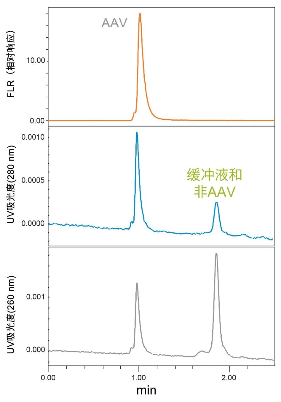 SEC UV吸光度响应比较