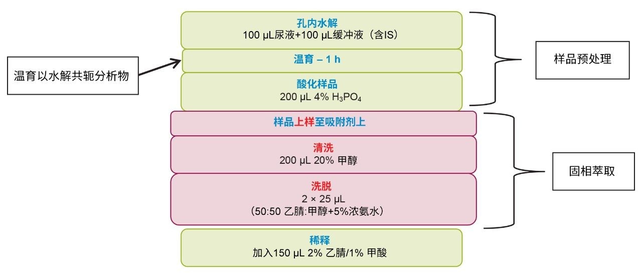 包含内标添加、温育和整个SPE过程的工作流程
