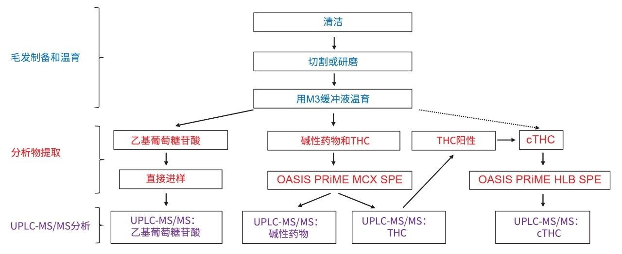 用于毛发中滥用药物分析的潜在的完整工作流程示意图