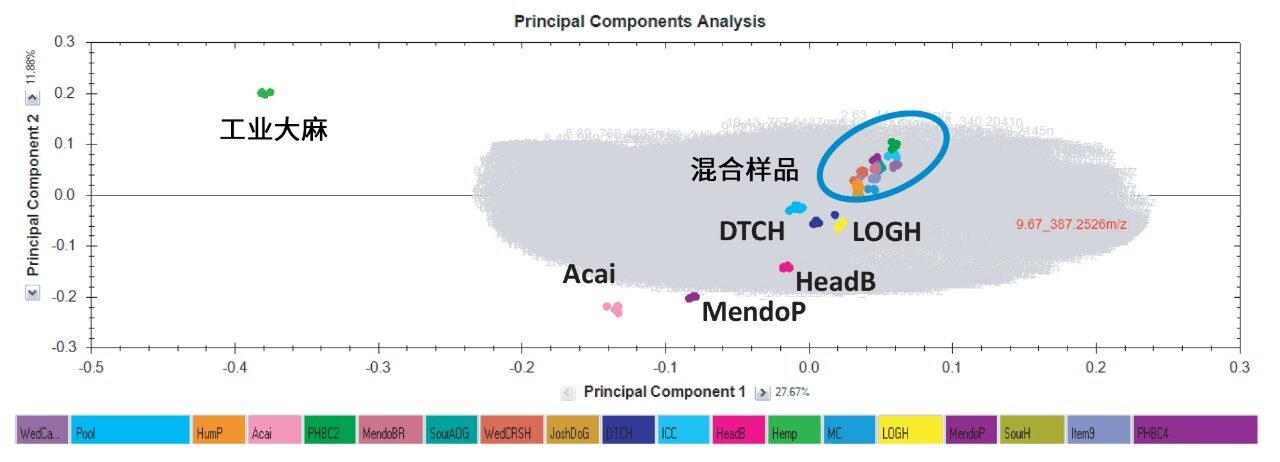 UPLC-MS分析大麻品种（包括工业大麻）生成的PCA图