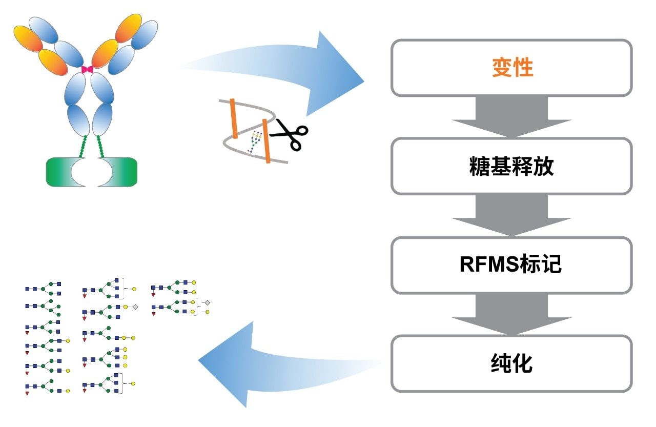 经过优化的样品前处理工作流程