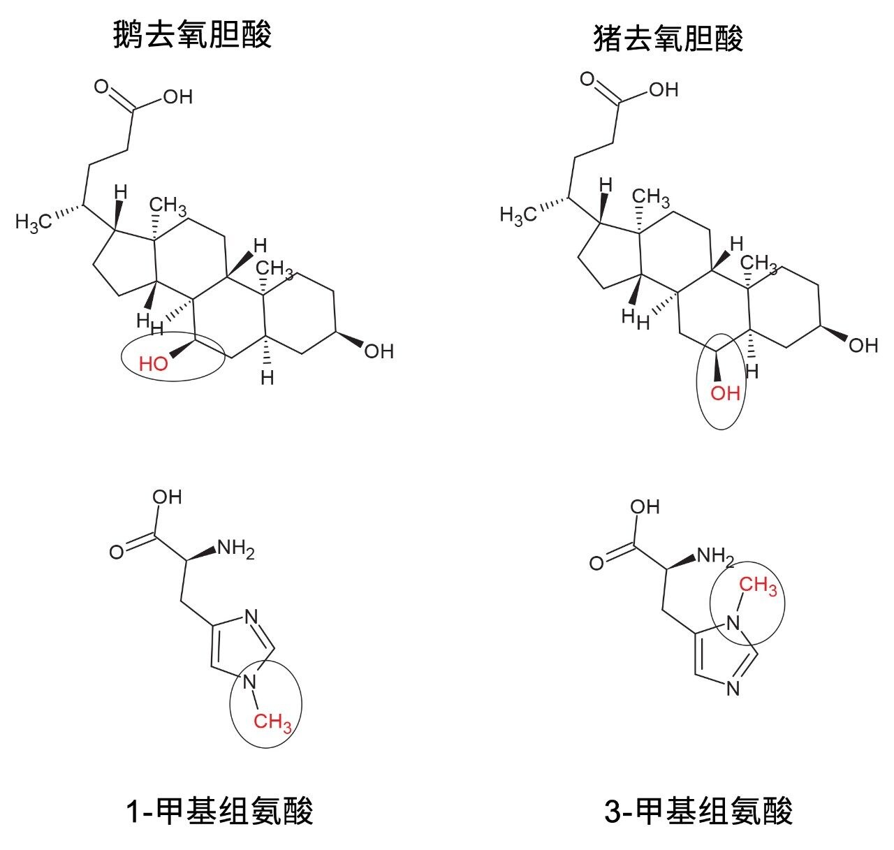 受试化合物胆汁酸和甲基组氨酸的化学结构