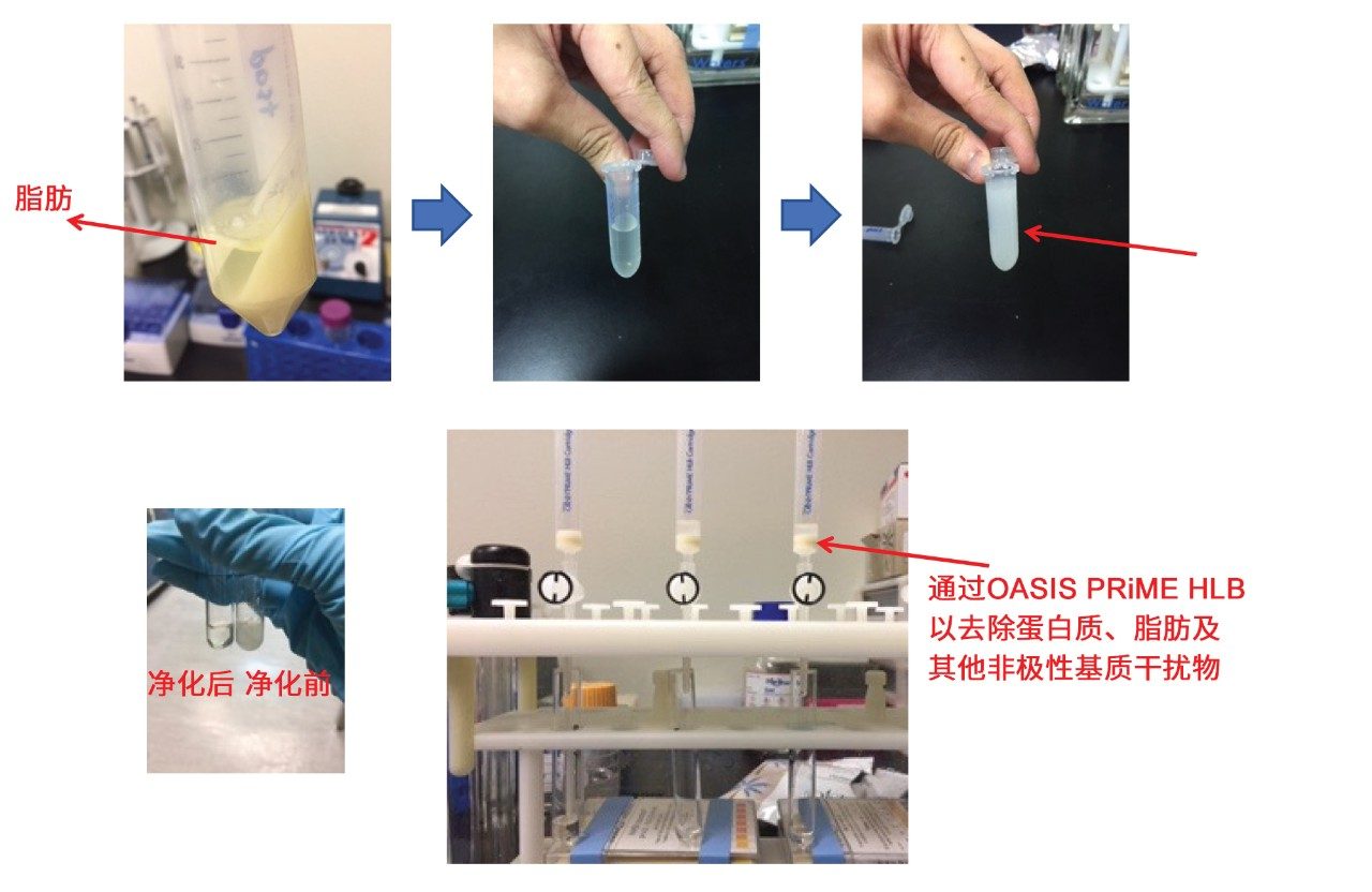  方便面的直通式净化程序。