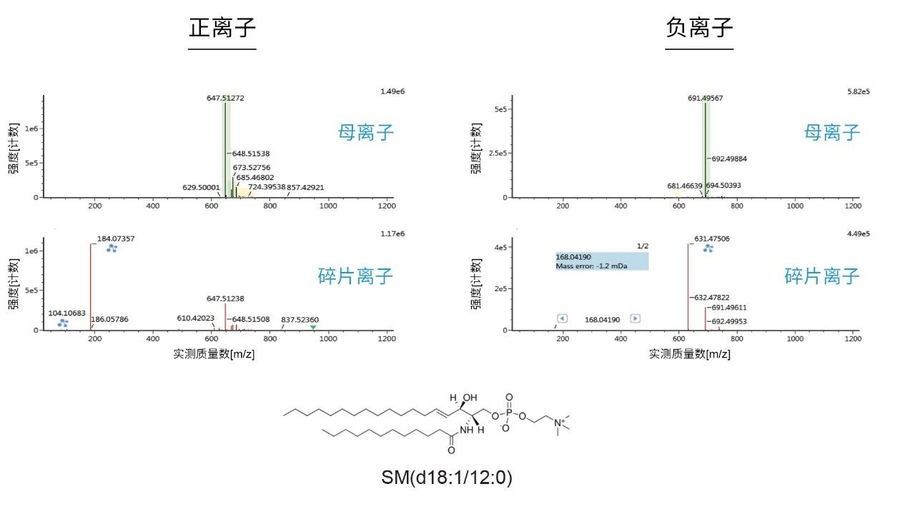 经UNIFI处理后使用沃特世脂质数据库搜索的数据。
