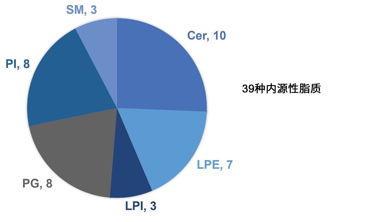 使用极性切换方法定量的39种脂质。四种LPE物质同时在正离子极性和负离子极性模式下测量