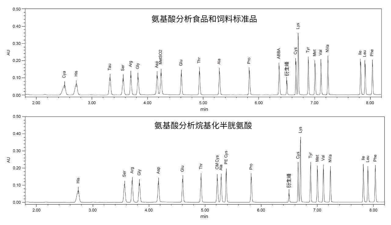 氨基酸分析的代表性色谱图。